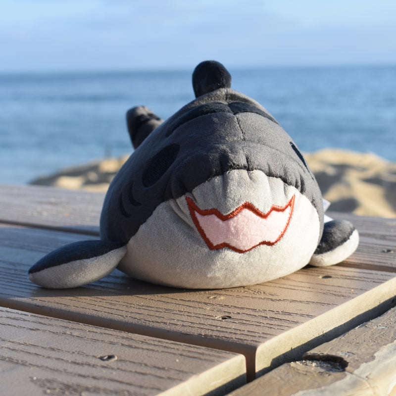 BB shorks from Boss Monsta!