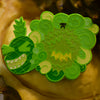 PINEAPPLE FART 2.5 INCH LIMITED EDITION PIN
